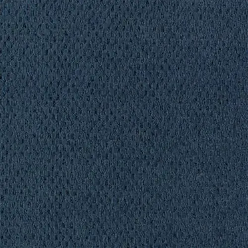 Carpet Sample